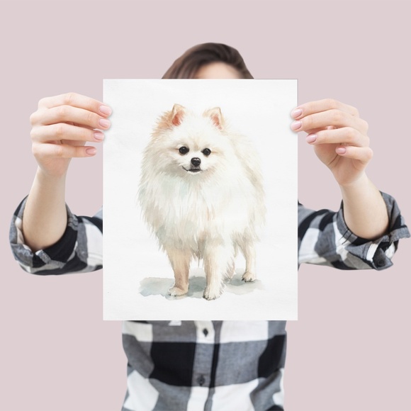 Watercolor Pomeranian Dog Portrait Art Print – Unframed Fine Art Poster - Picture 4 of 5